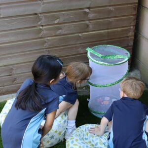 students looking at plants